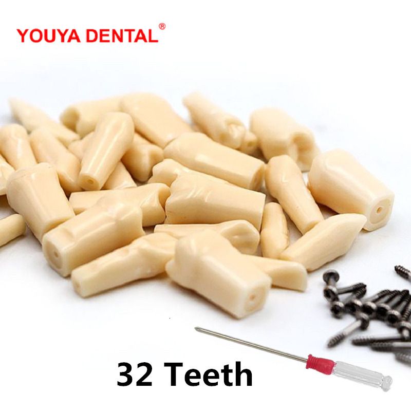 32pcs-set Teeth