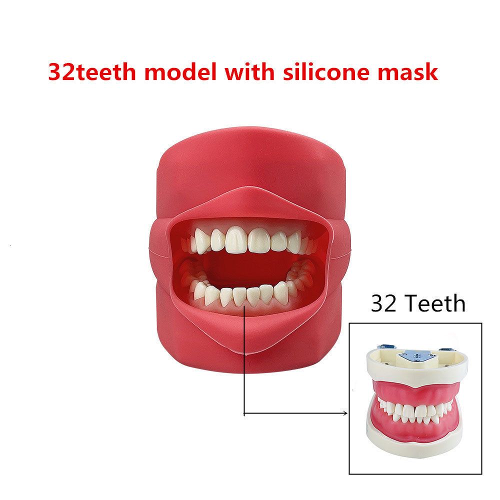 32teeth Model Mask