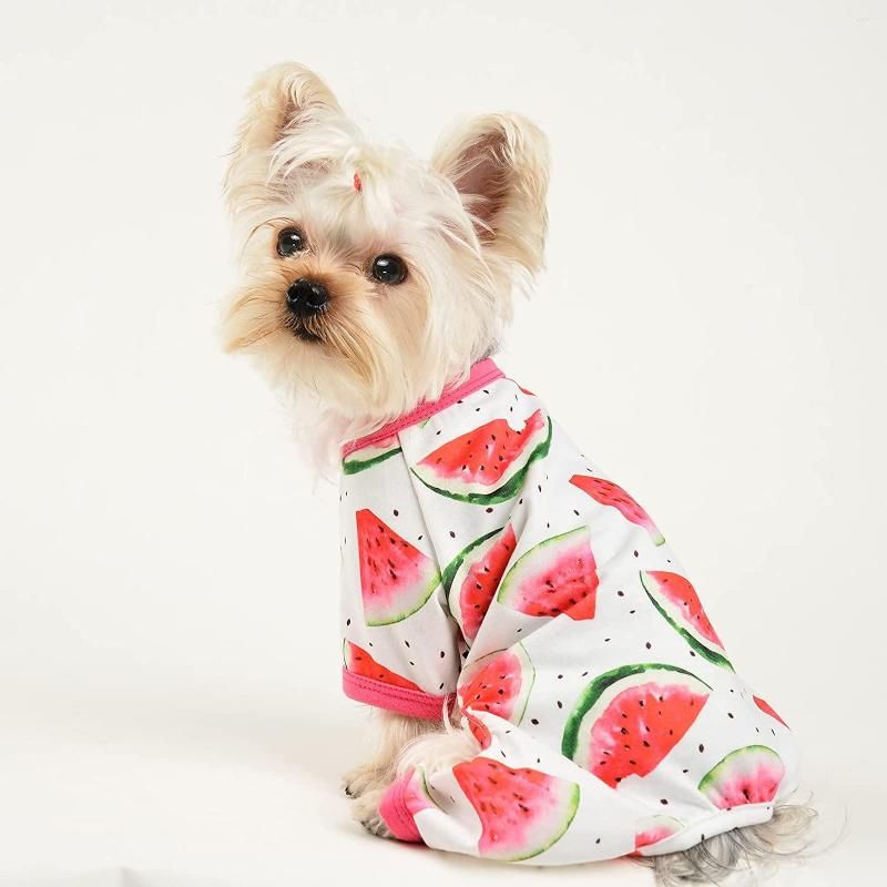 Watermelon Pattern