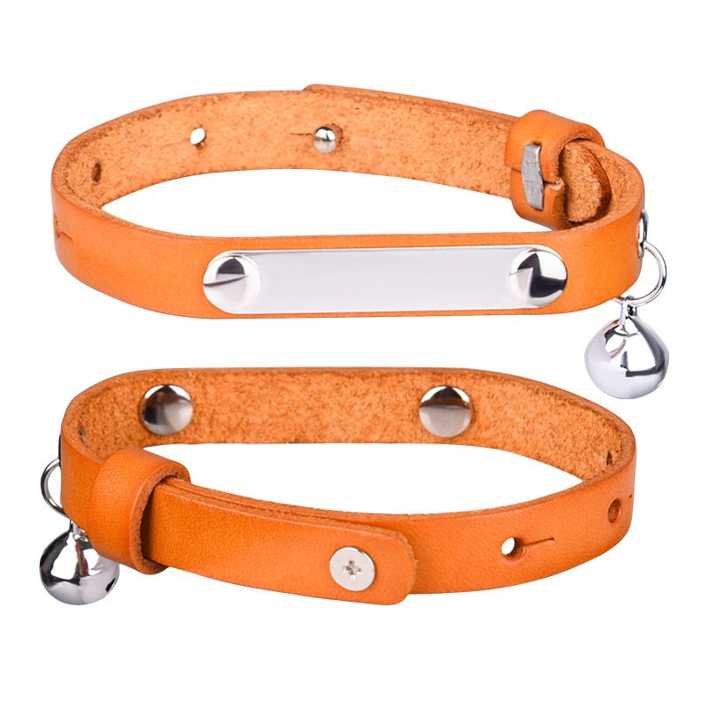 CWP0241-ORANGE