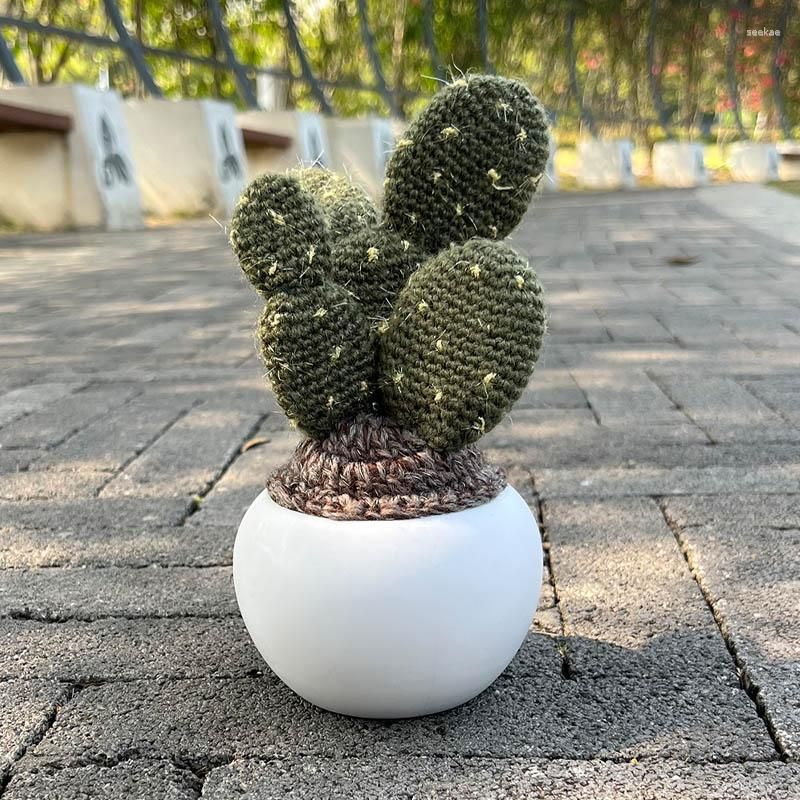 Kaktus-b
