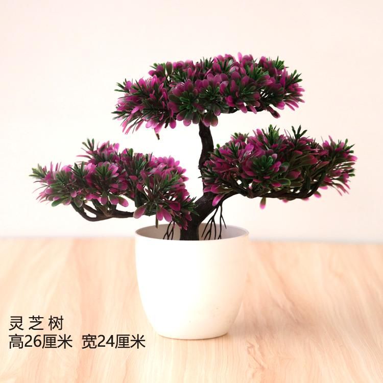 Lingzhishu Purplered