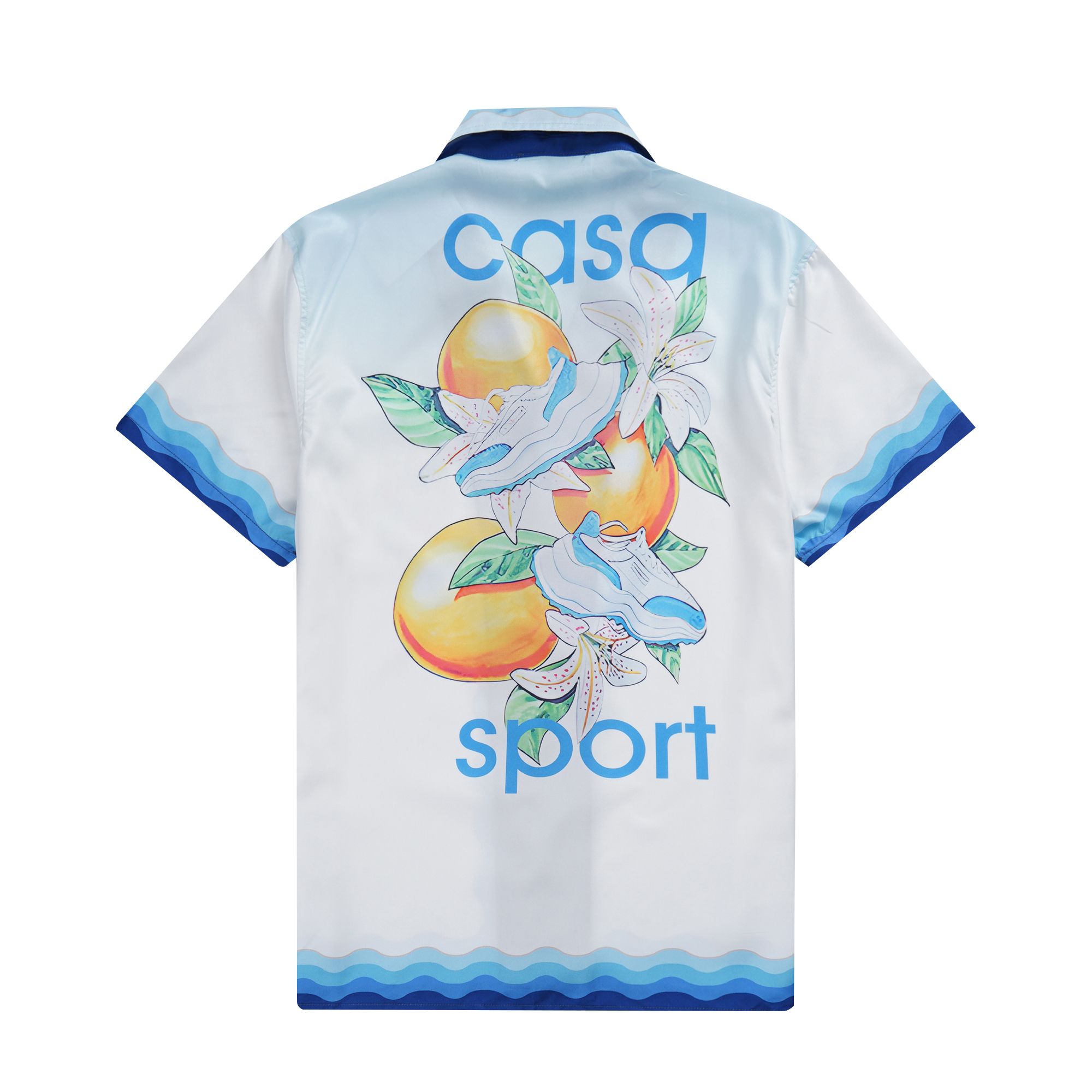 Casa-18