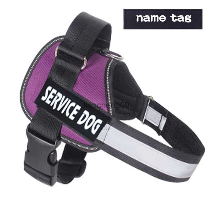 Purple with Name Tag