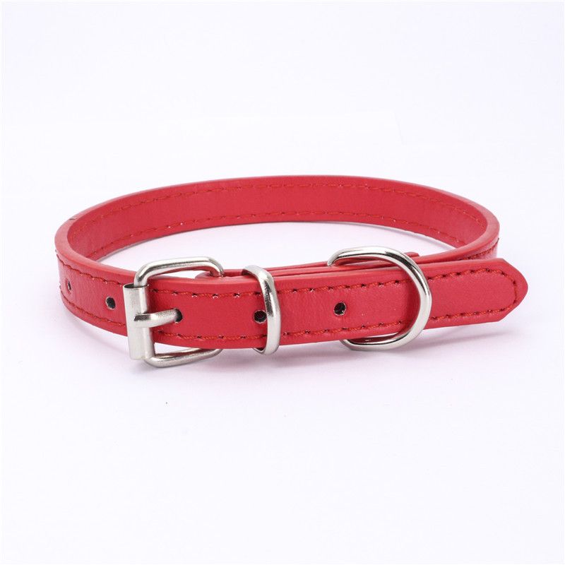 CWP0224-RED