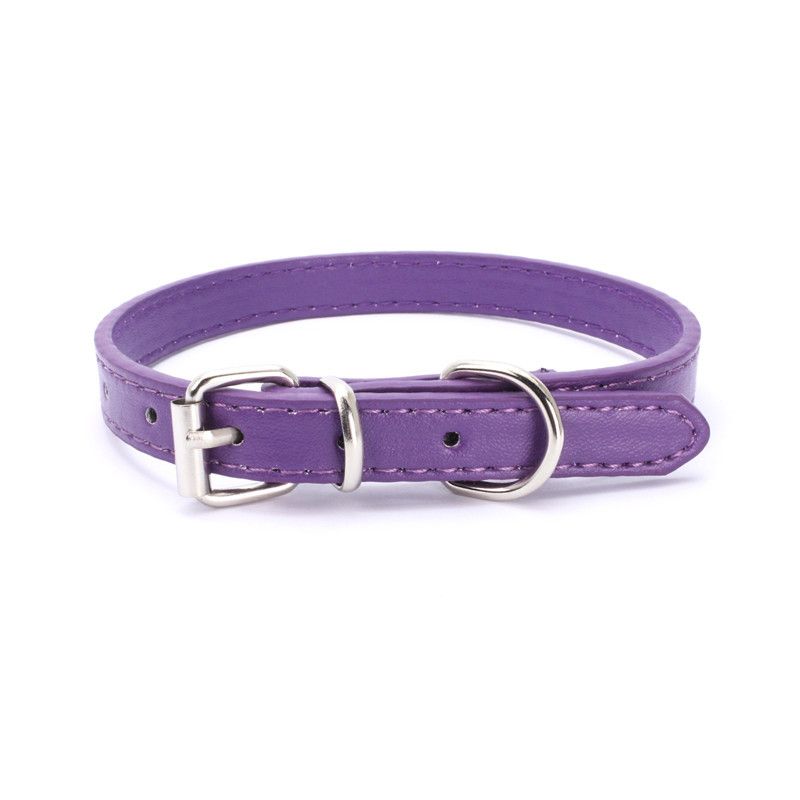 CWP0224-PURPLE