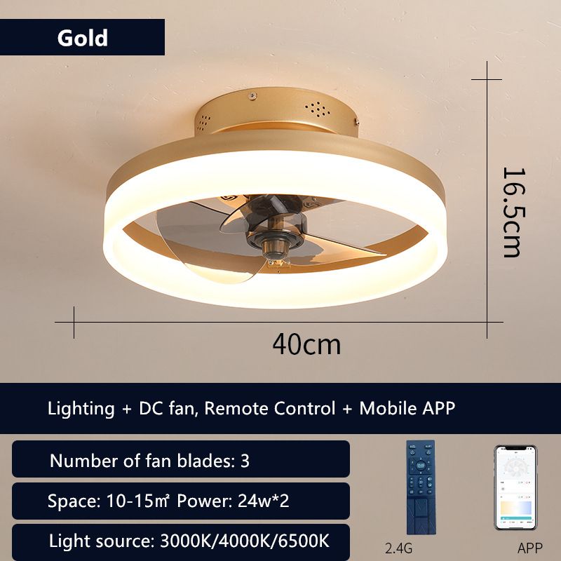 Goldfarbener 40-cm-Gleichstrommotor 110 V