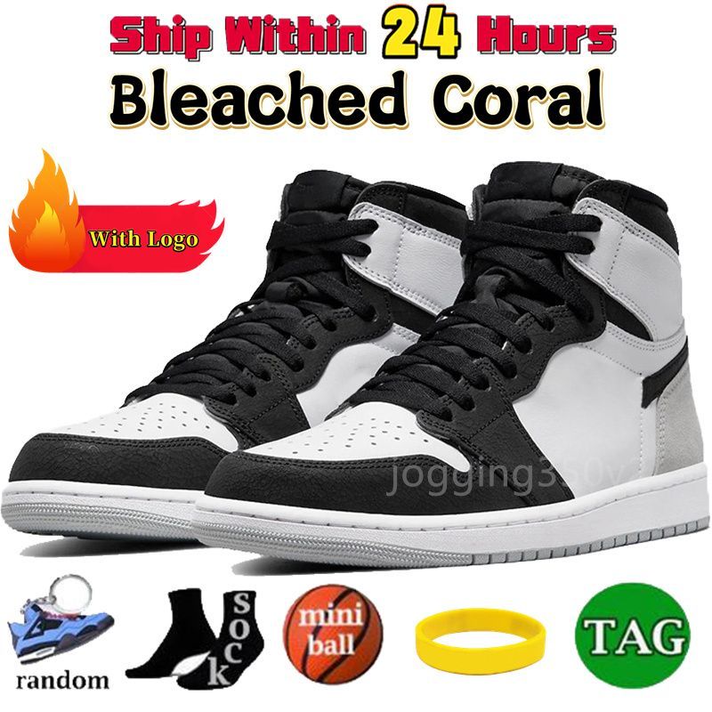 12 Bleached Coral