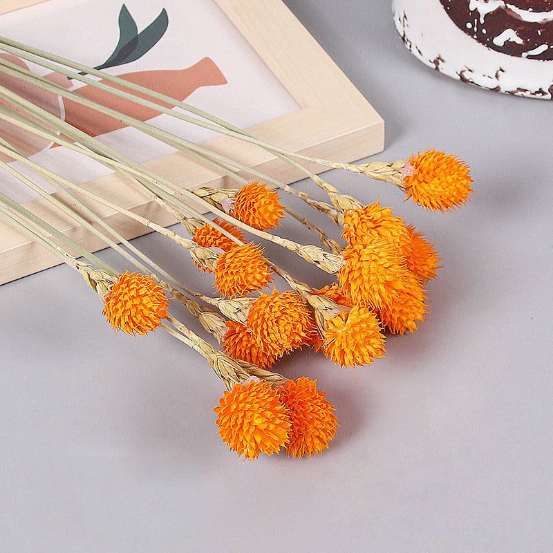 Orange-10 Pcs