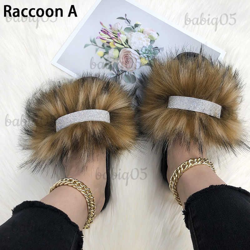 Raccoon a