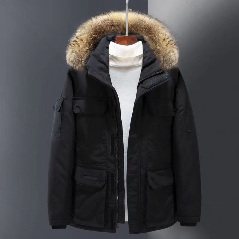 Fur Collar Jacket 6