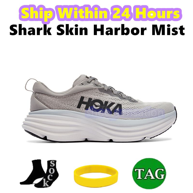 07 Shark skin harbor mist