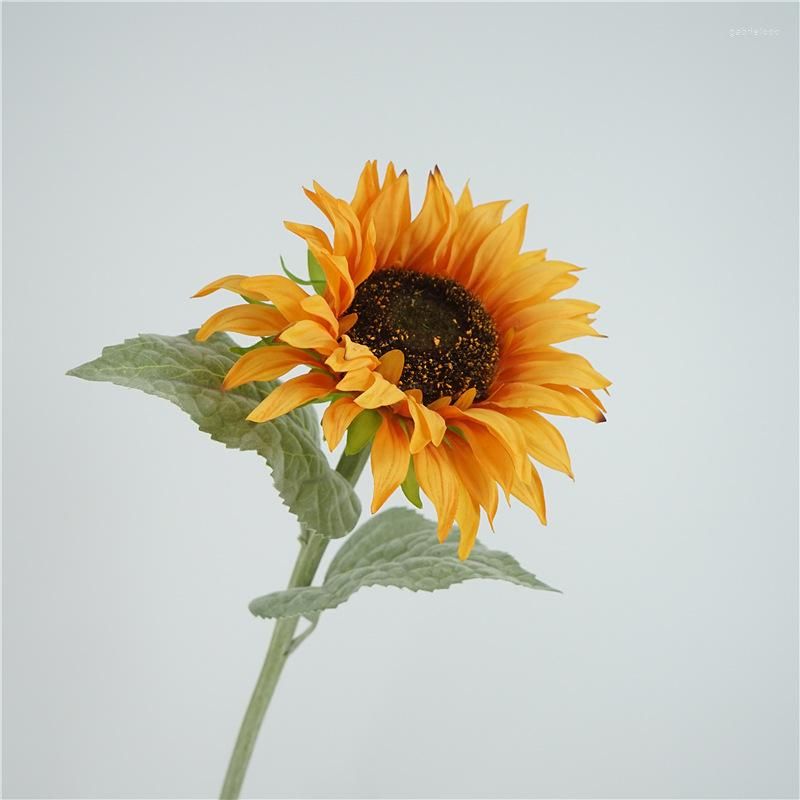 Girasole arancione