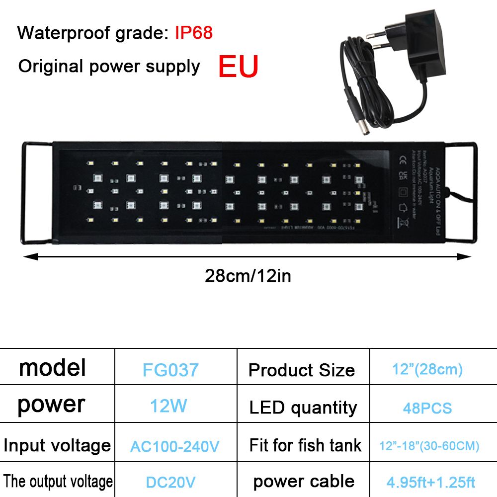 Spina europea da 30 cm