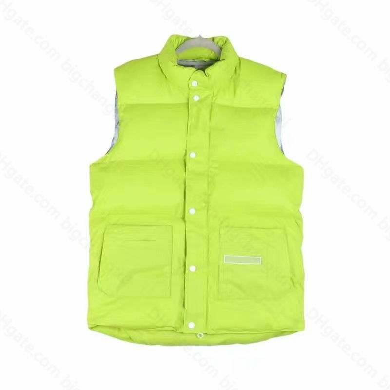 vest 12