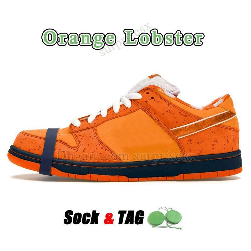 B15 Orange Lobster 36-46