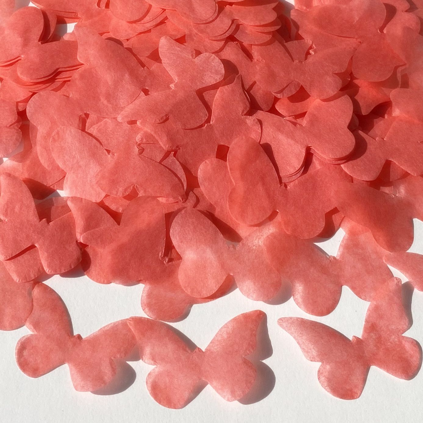 Coral-30G per 8 ospiti