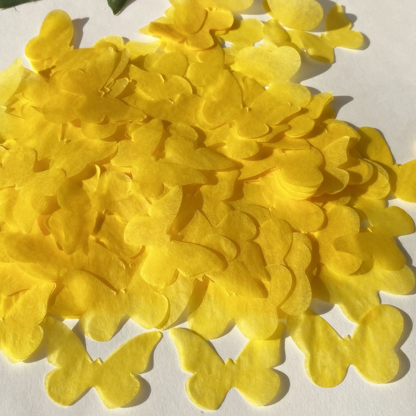 Giallo-30G per 8 ospiti