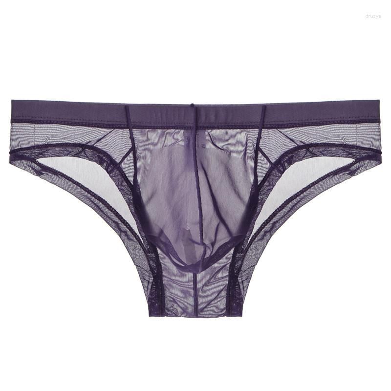 Purple Brief