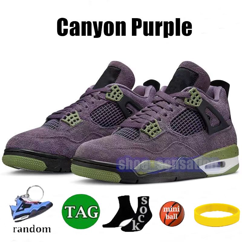 19 Canyon Purple