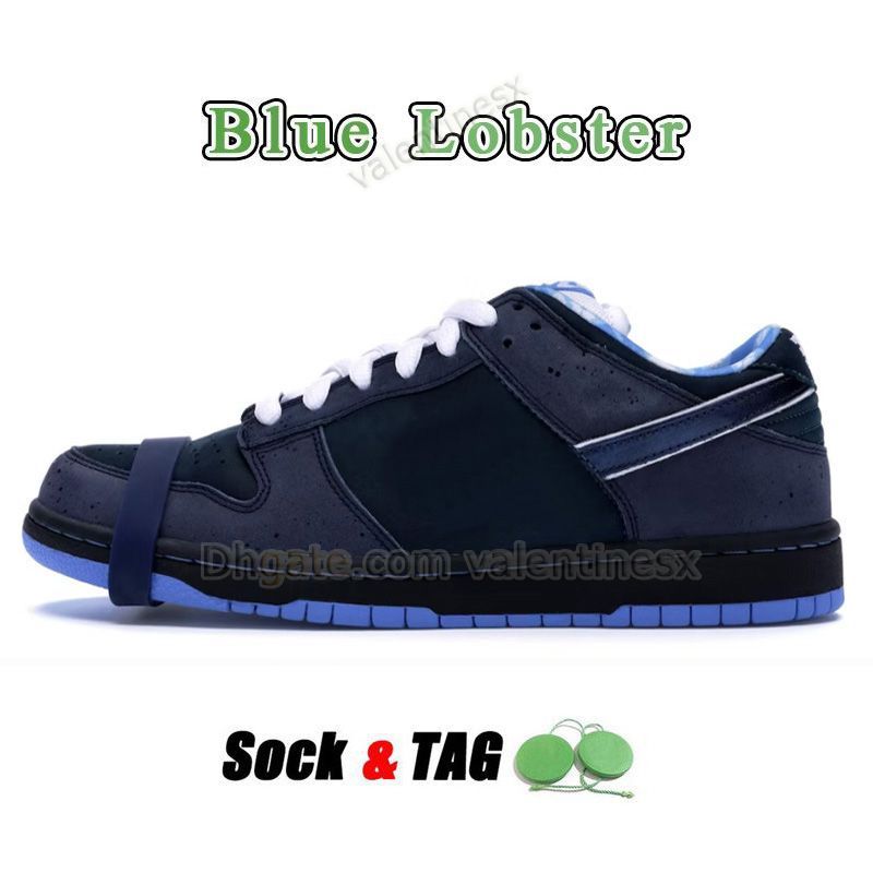 B19 Blue Lobster 36-45