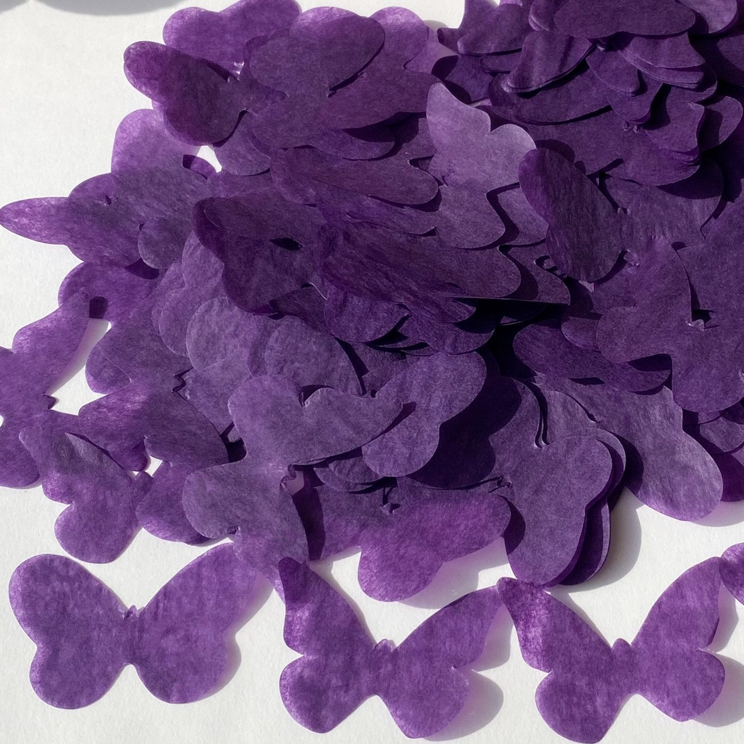 Viola-30G per 8 ospiti