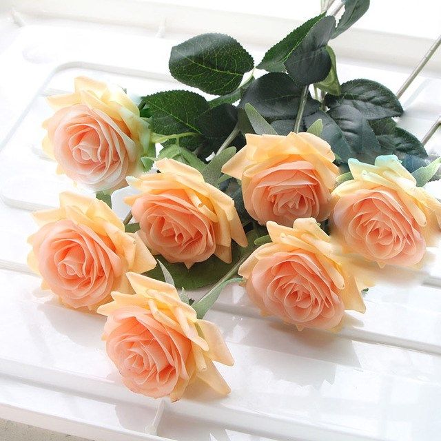 orange rose