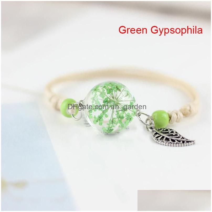 Green Gypsophila