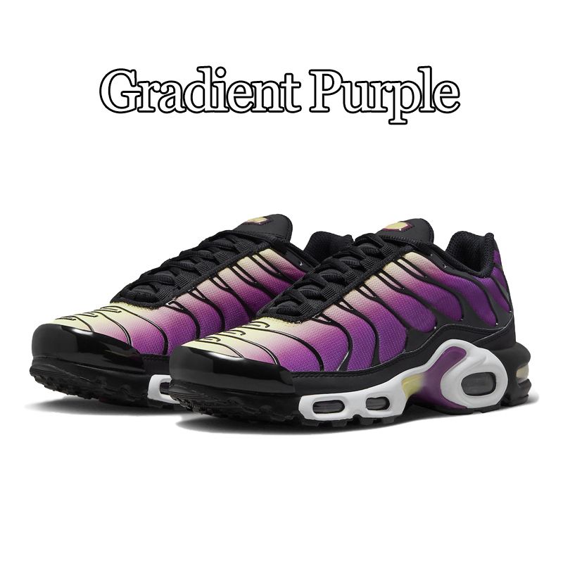 Purple gradiente