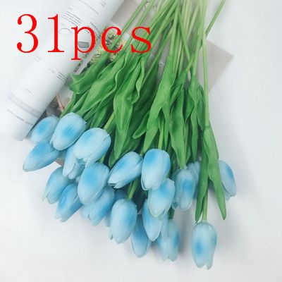 31 pcs blu