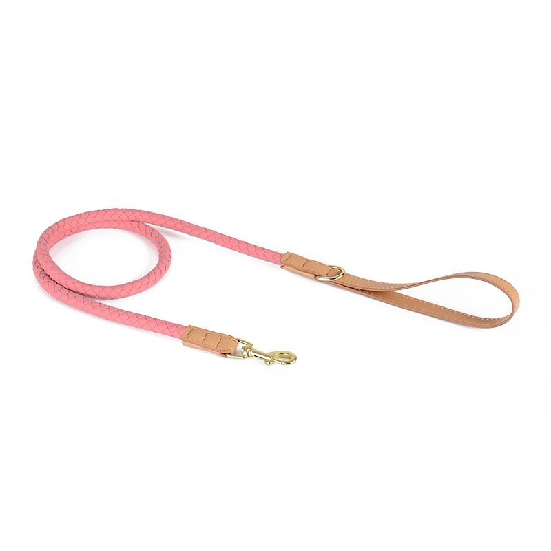 Leash-Pink.