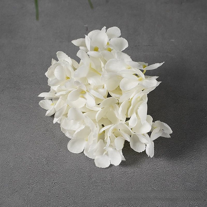 Hortensia blanc-6PC