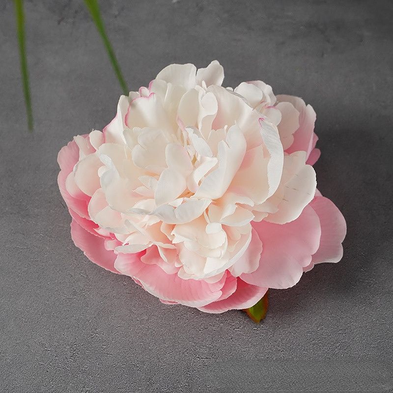 Pivoine rose-1PC