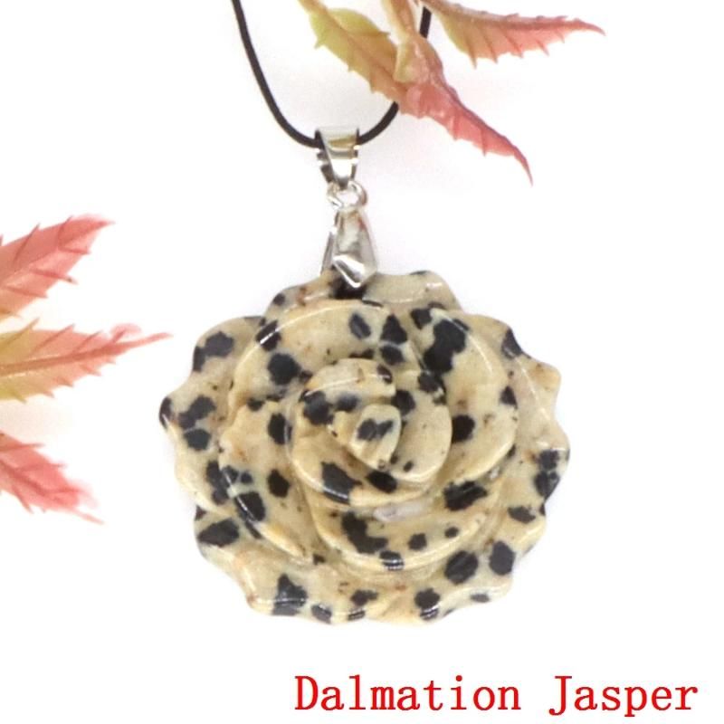 1 st dalmation Jasper