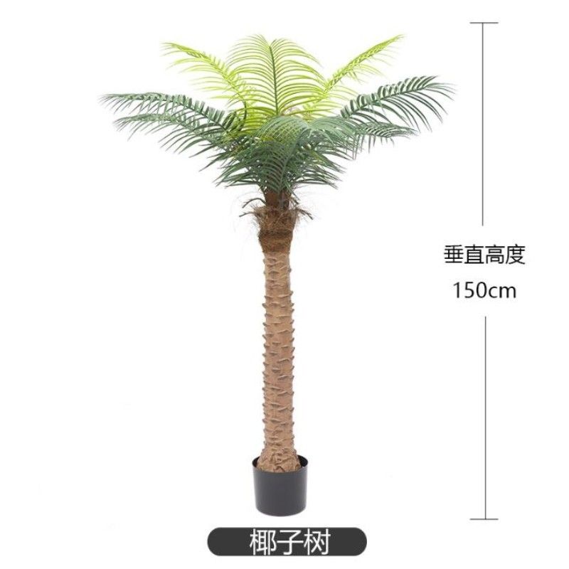 150cm