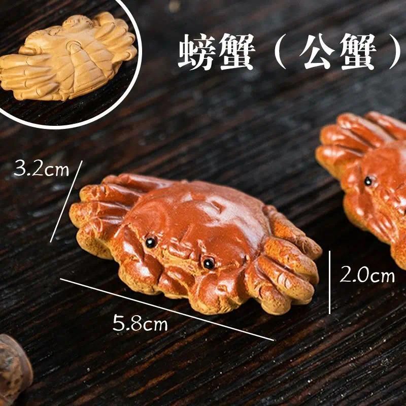 Crabe mâle