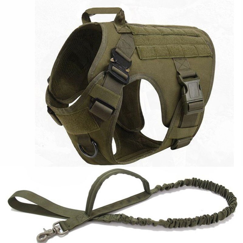 Verde Harness Leash