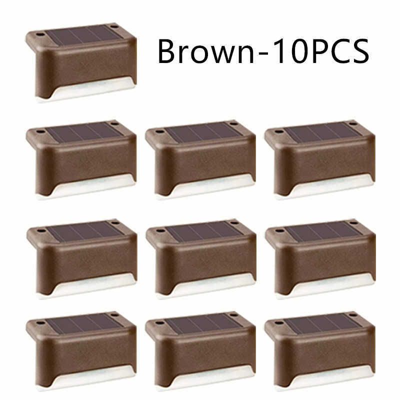 Brown Shell 10pcs-Colourful