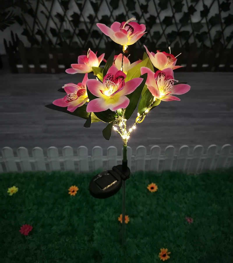 Rose orchidée
