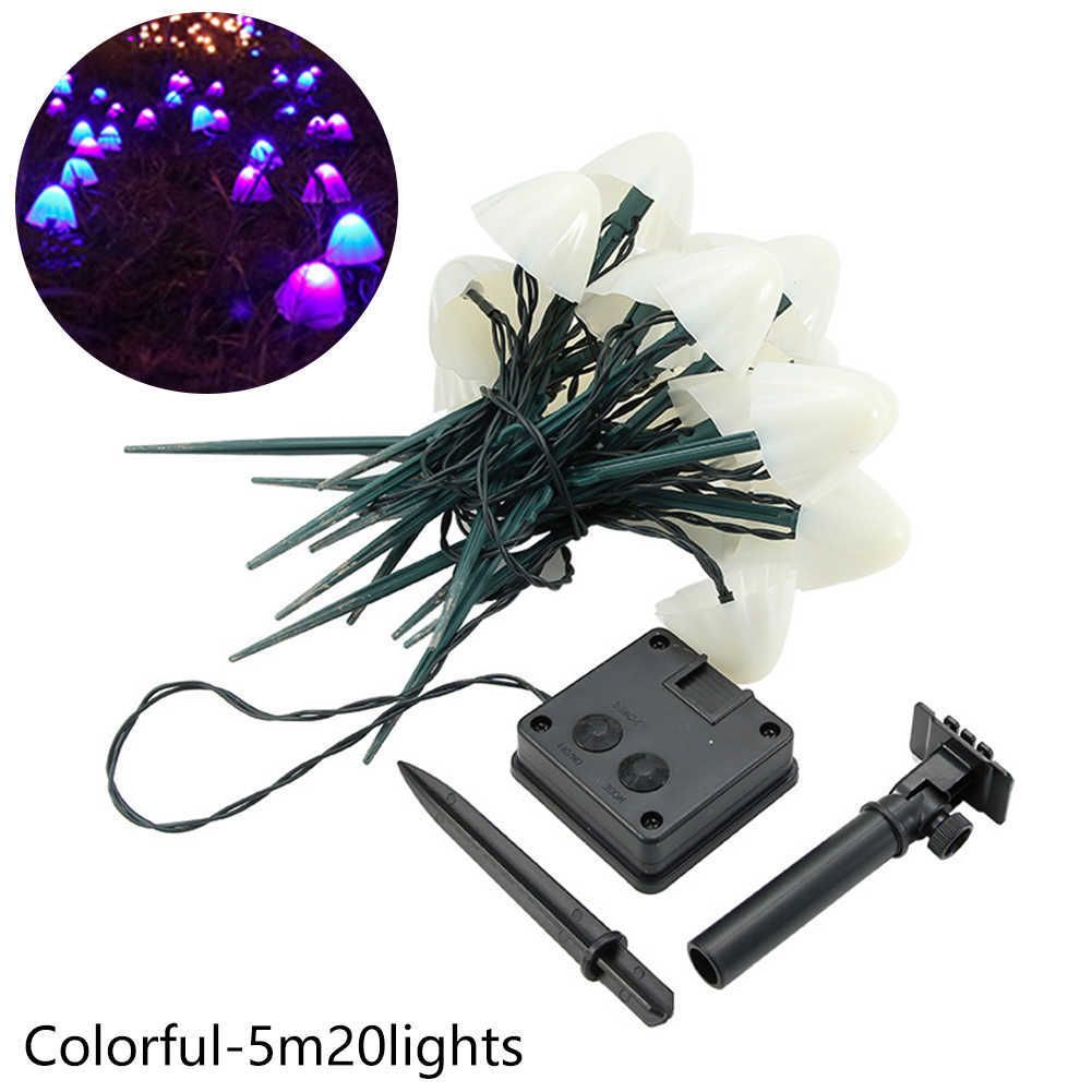 5M 20LED-colorful