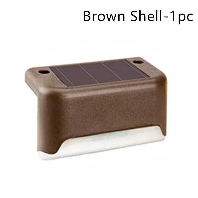 Brown Shell 1pcs-Warm White