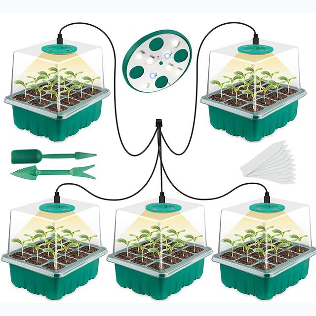 Normaal-5pcs