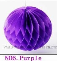 NO6 Purple