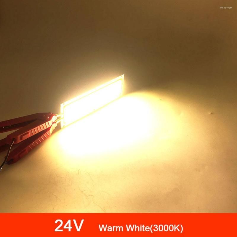 24V warm wit