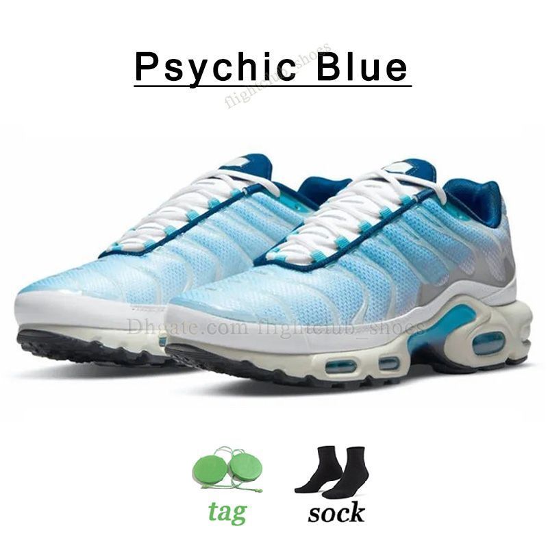 N34 40-46 Psychisch blauw