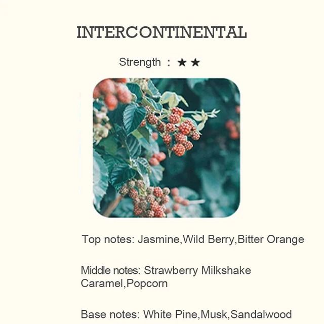 Intercontinental-100 Ml