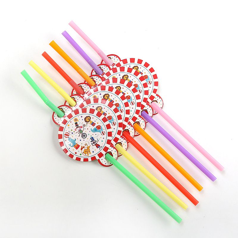 6pcs straw