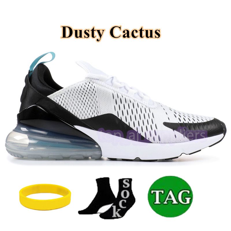 28 Dusty Cactus