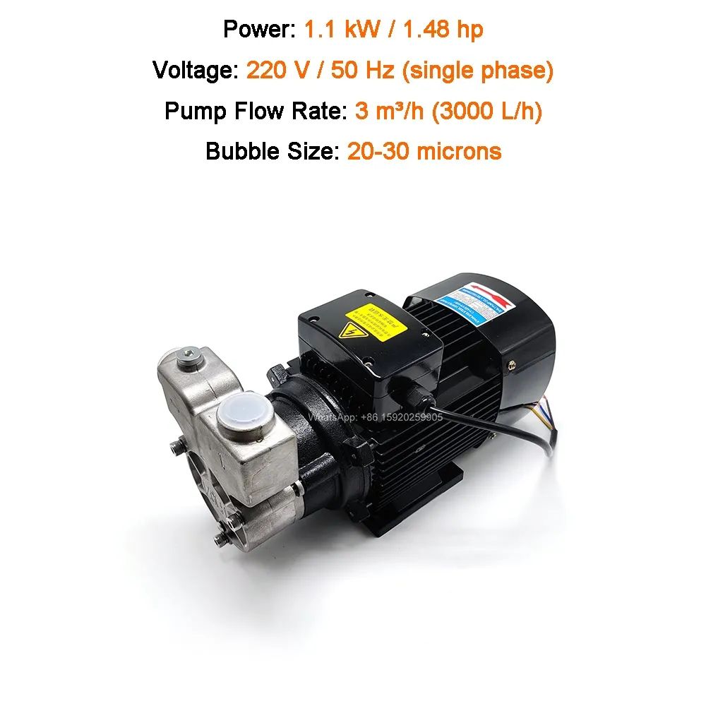 1.1 kW 220V Pump