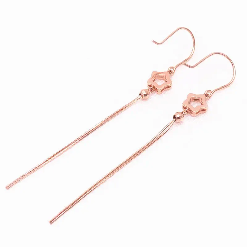 Une paire de boucles d'oreilles